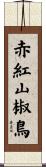 赤紅山椒鳥 Scroll