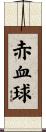 赤血球 Scroll