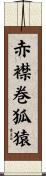 赤襟巻狐猿 Scroll