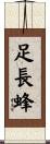 足長蜂 Scroll