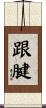 跟腱 Scroll