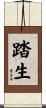 踏生 Scroll