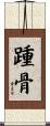 踵骨 Scroll