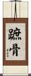 蹠骨 Scroll