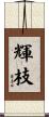 輝枝 Scroll