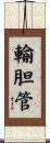 輸胆管 Scroll