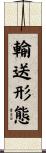 輸送形態 Scroll