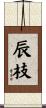 辰枝 Scroll
