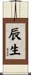 辰生 Scroll