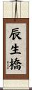 辰生橋 Scroll