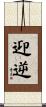 迎逆 Scroll