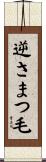 逆さまつ毛 Scroll