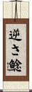 逆さ鯰 Scroll