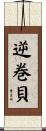 逆巻貝 Scroll