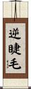 逆睫毛 Scroll