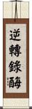 逆轉錄酶 Scroll