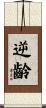 逆齡 Scroll