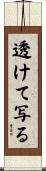 透けて写る Scroll