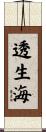 透生海 Scroll