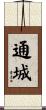 通城 Scroll