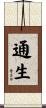 通生 Scroll