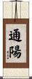 通陽 Scroll