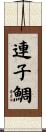 連子鯛 Scroll