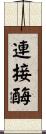 連接酶 Scroll