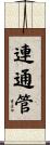 連通管 Scroll