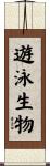 遊泳生物 Scroll
