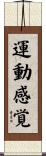 運動感覚 Scroll