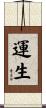 運生 Scroll