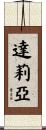 Dalia Scroll