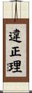違正理 Scroll