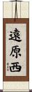遠原西 Scroll