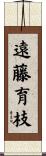 遠藤育枝 Scroll