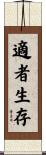 Survival of the Fittest Scroll