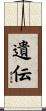遺伝 Scroll