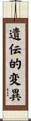 遺伝的変異 Scroll