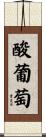 酸葡萄 Scroll