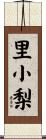 里小梨 Scroll