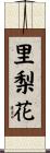 里梨花 Scroll