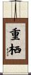 重栖 Scroll