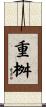 重桝 Scroll