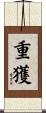 重獲 Scroll