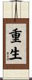 重生 Scroll