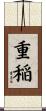 重稲 Scroll