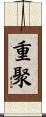 重聚 Scroll