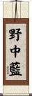 野中藍 Scroll