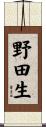 野田生 Scroll